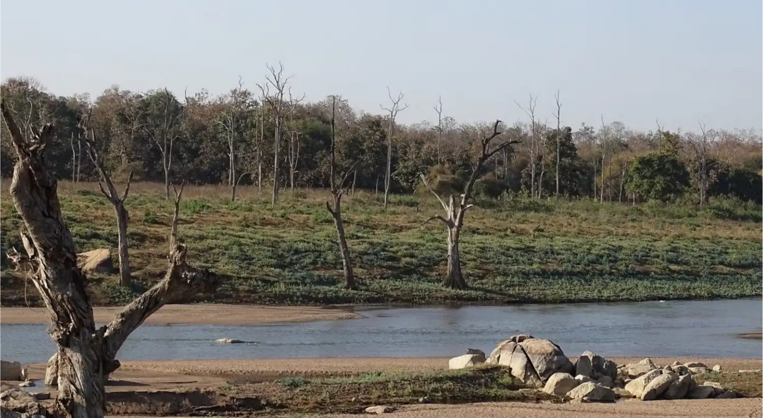 River in Pench