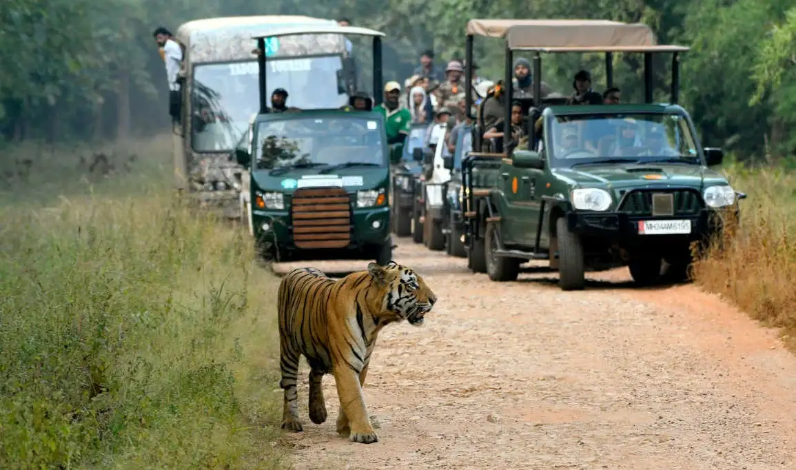 pench national park