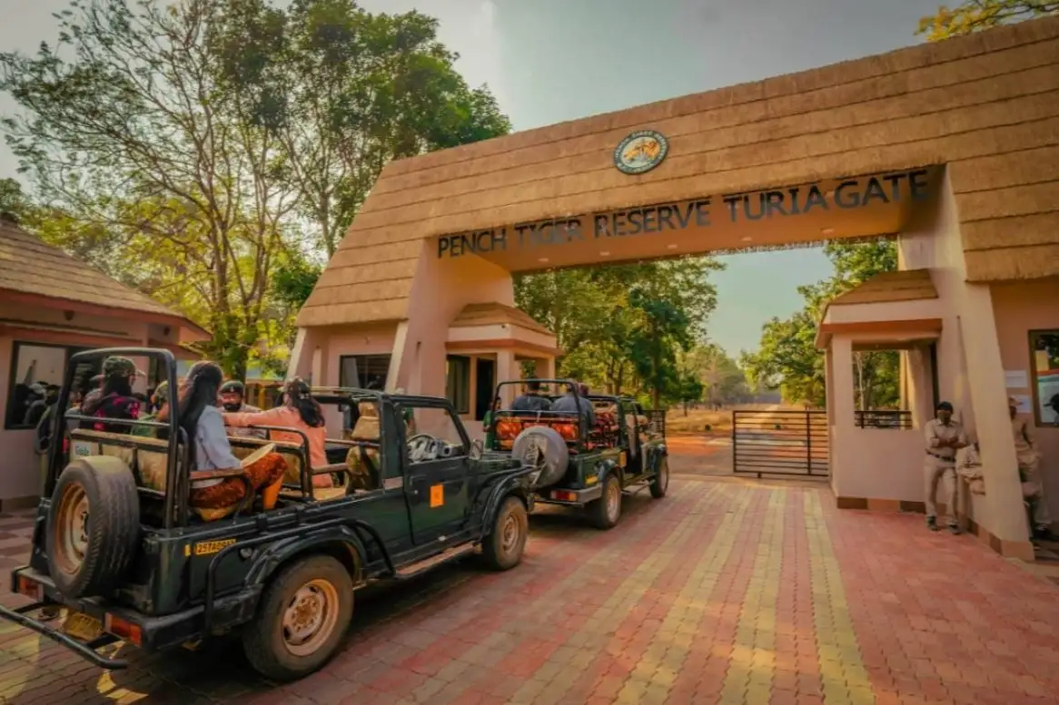 Core Zone Of Pench National Park