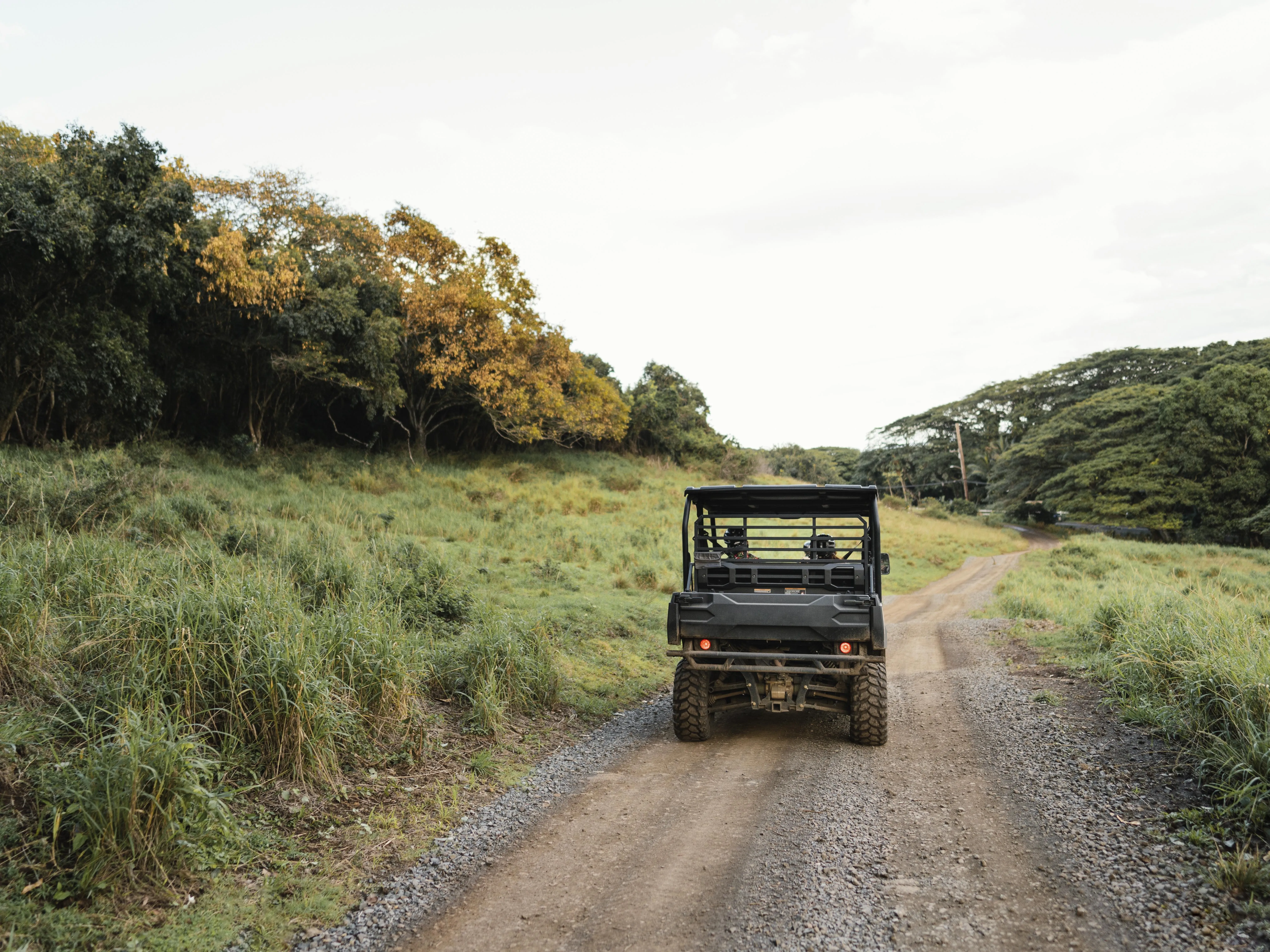 Pench Wildlife Tour